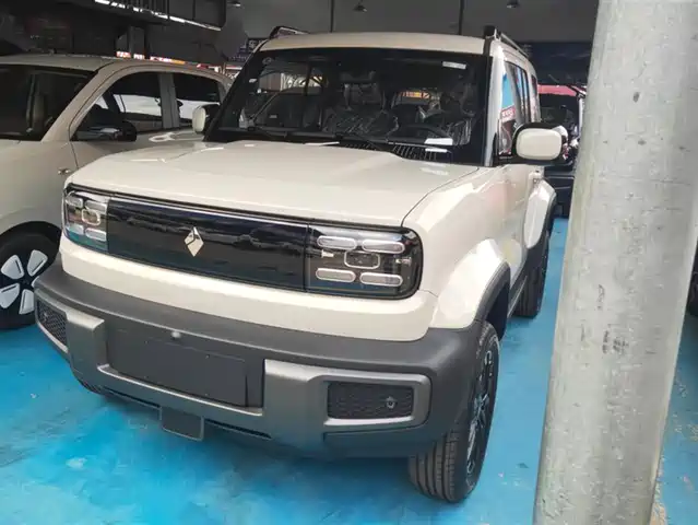 BAOJUN YUE ALSO 2025