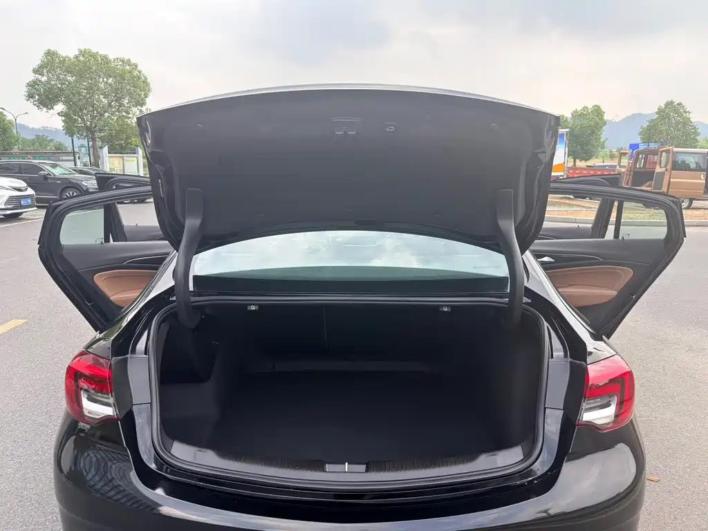 Buick Regal — миниатюра 15
