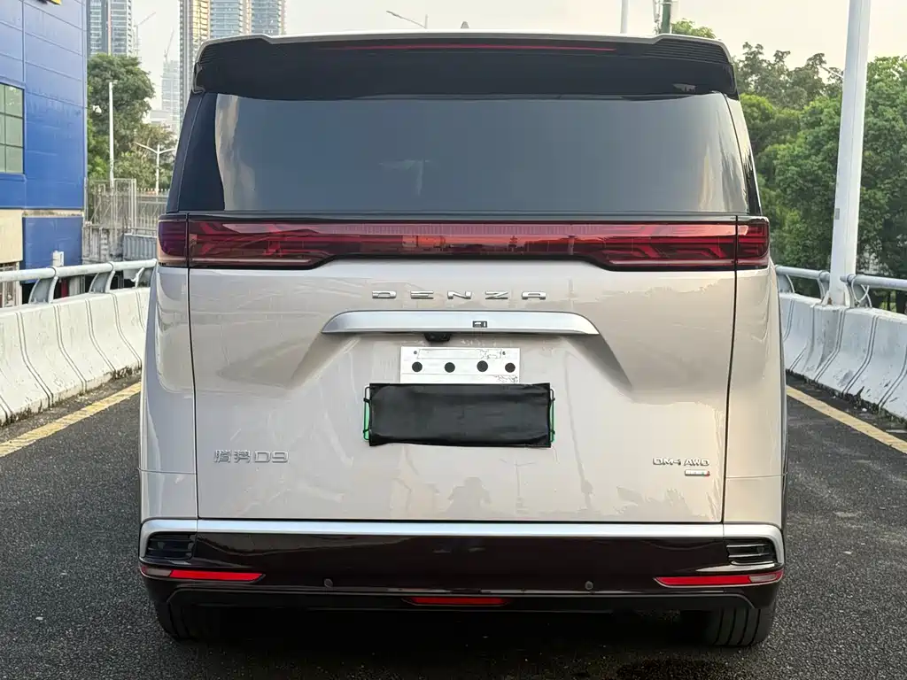 Denza Denza D9 — миниатюра 17