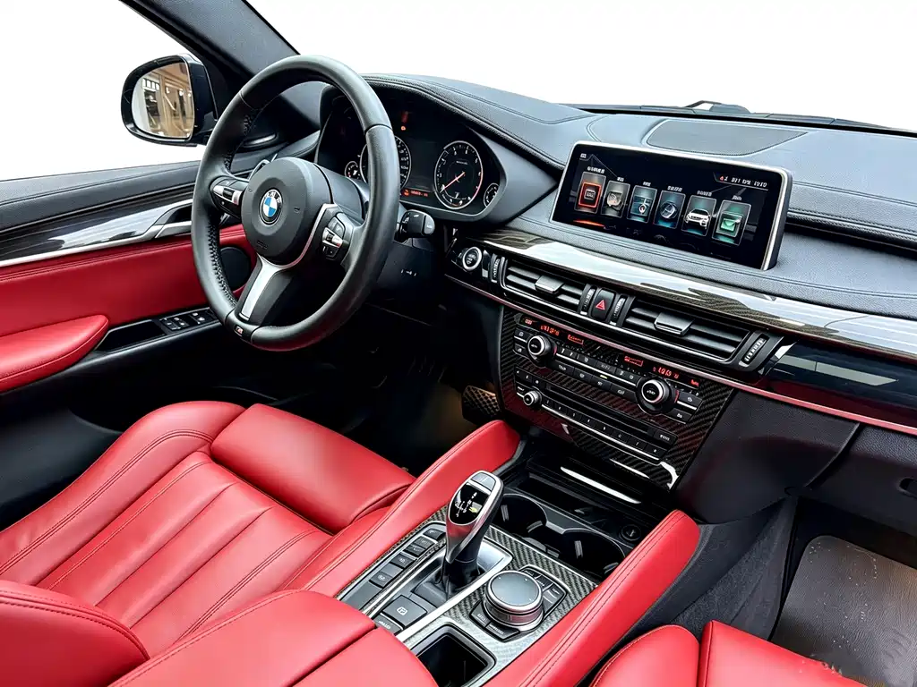 BMW X6 — миниатюра 29