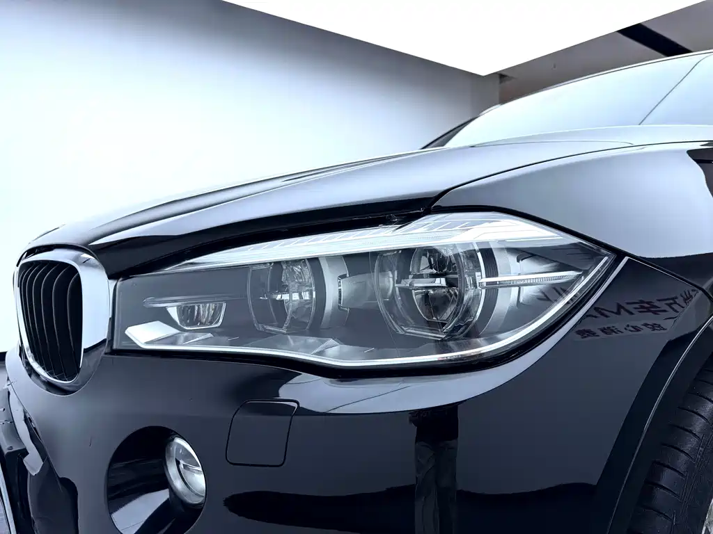 BMW X6 — миниатюра 8