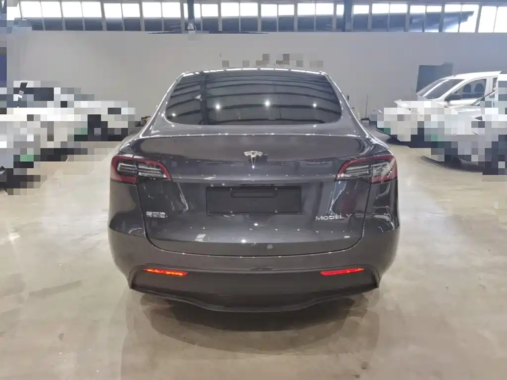 Tesla Model Y — миниатюра 6