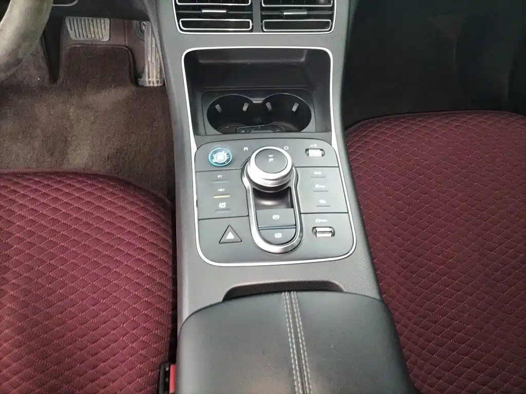 BYD Destroyer 05 2024 DM-i 55KM Luxury
