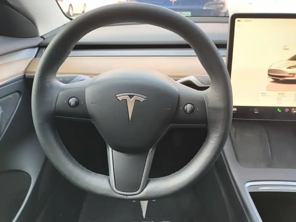 Tesla Model 3 — миниатюра 11