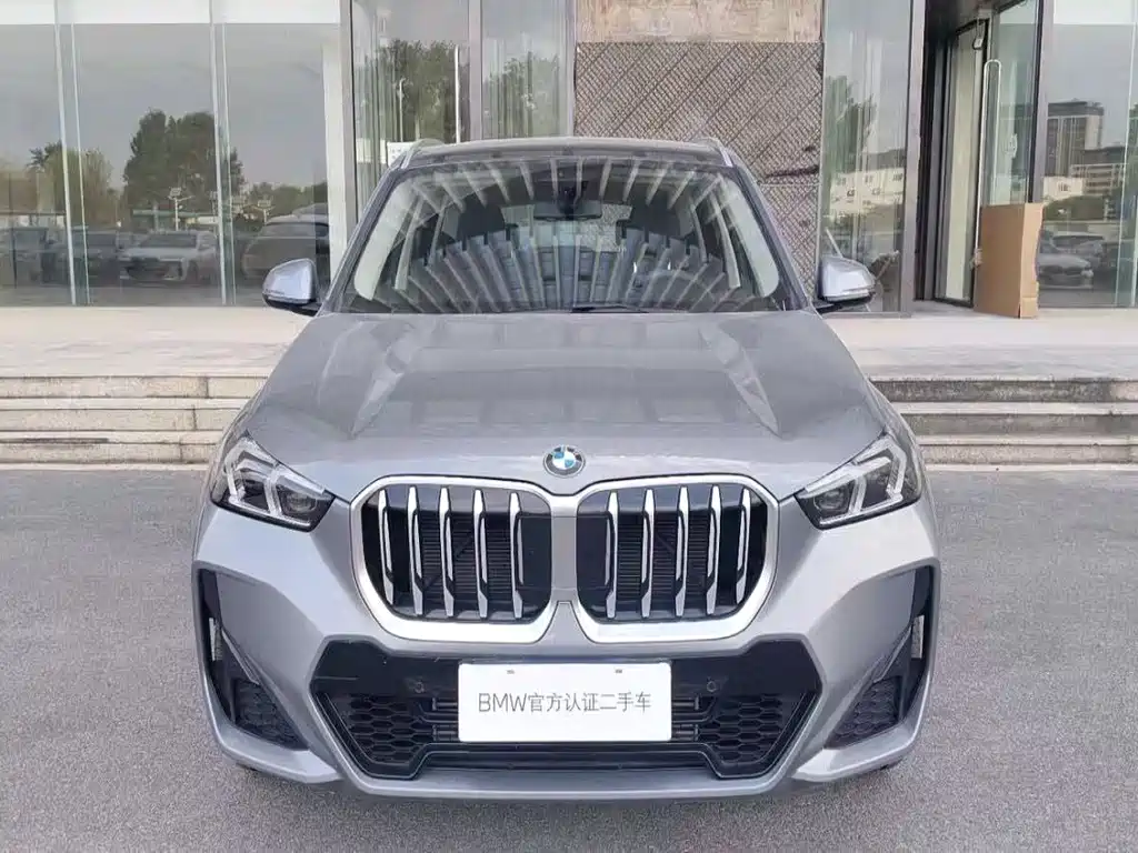 BMW X1 — миниатюра 2