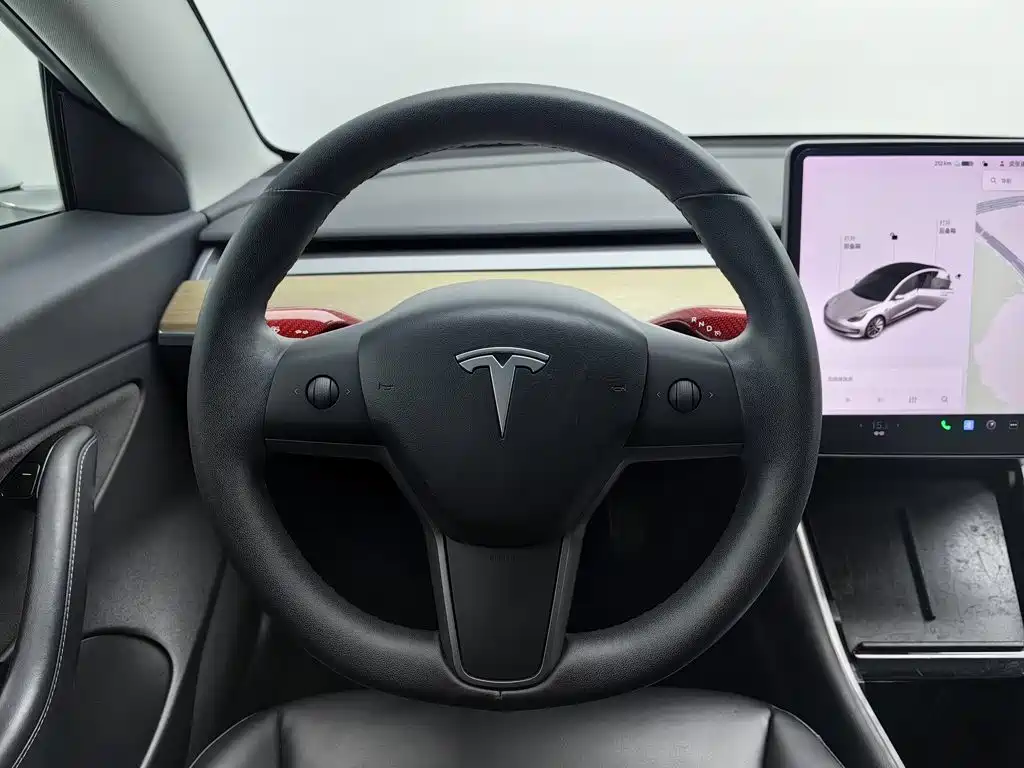 Tesla Model 3 — миниатюра 11
