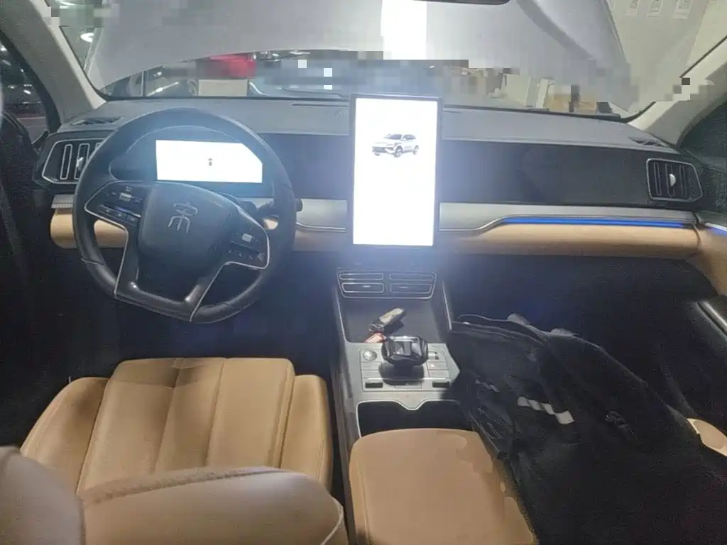 BYD Pro New Energy — миниатюра 10