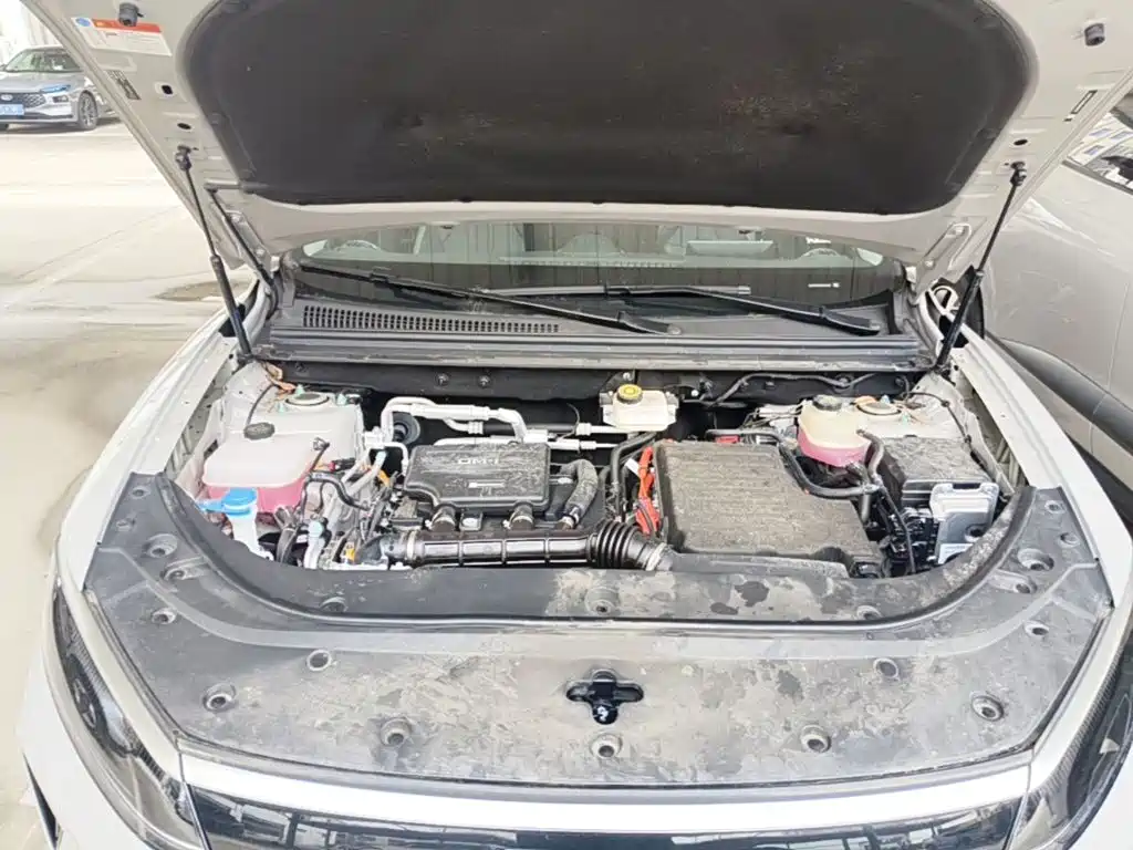 BYD Sealion 05 DM-i — миниатюра 20