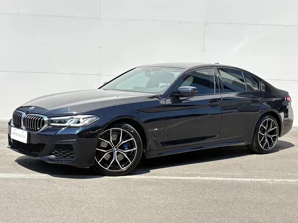 BMW 5 Series (Import)
