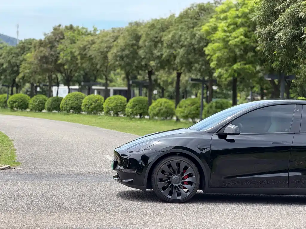 Tesla Model Y — миниатюра 23