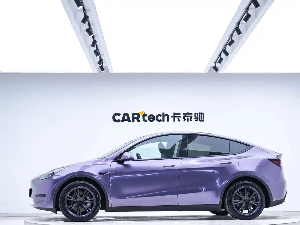 Tesla Model Y — миниатюра 4