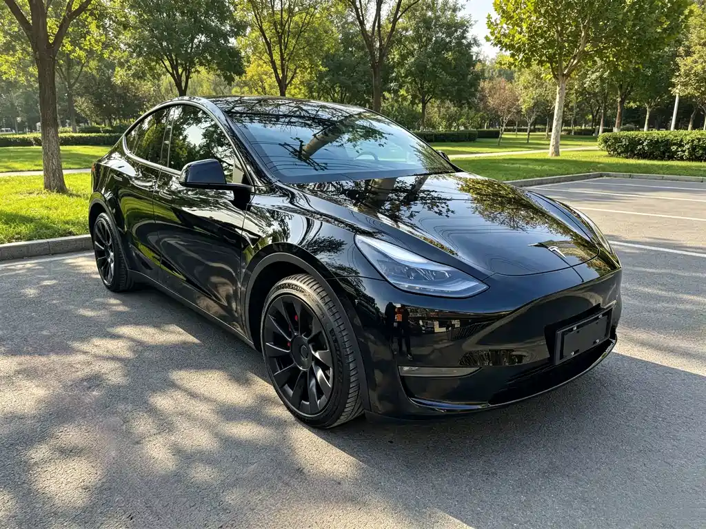 Tesla Model Y — миниатюра 3
