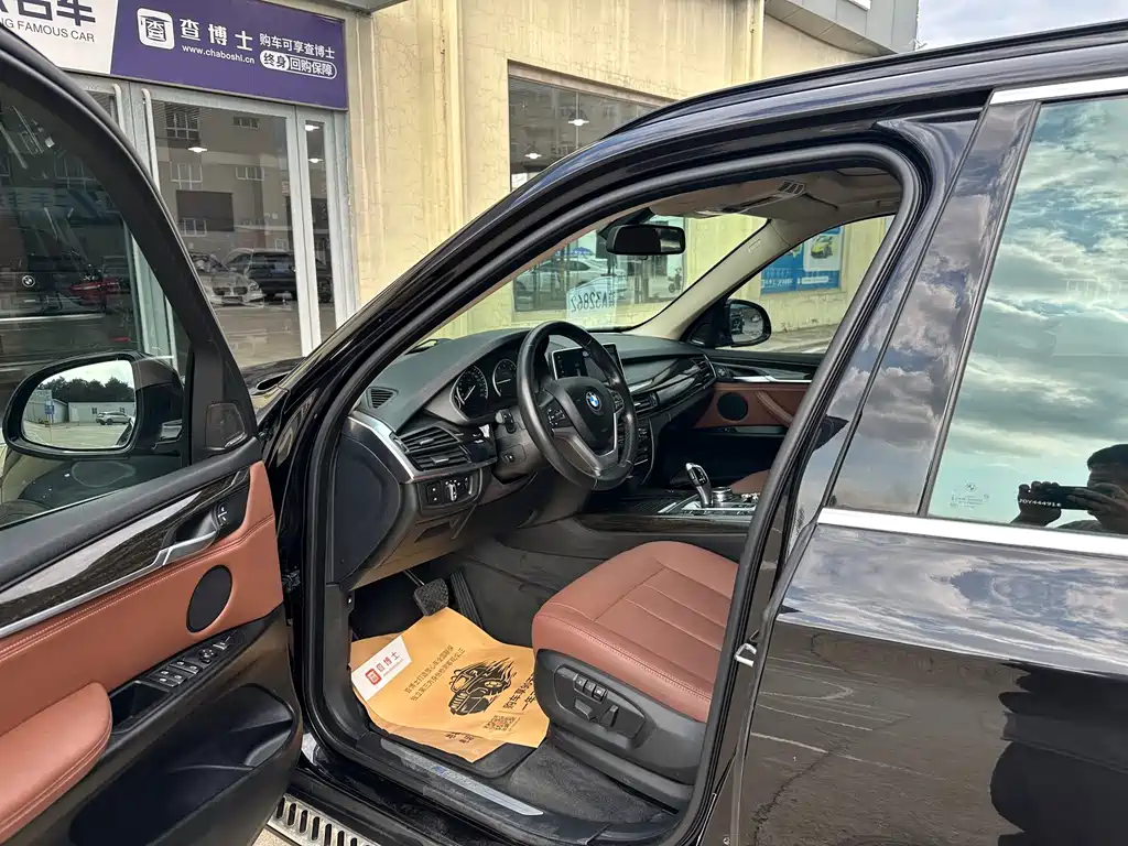 BMW X5 New Energy (Import) — миниатюра 5