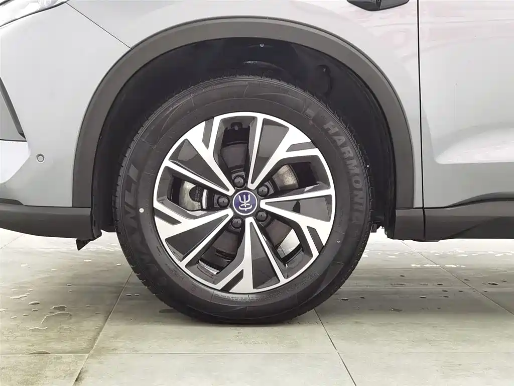 BYD SONGJIANG NEW ENERGY