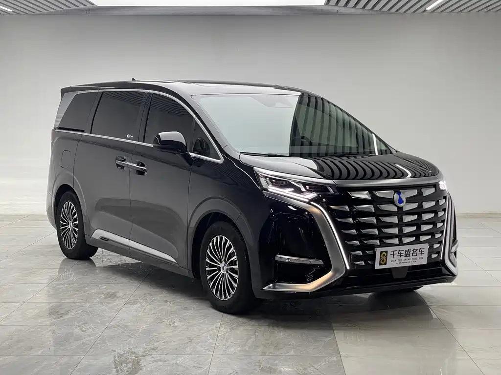 Denza Denza D9 — миниатюра 3