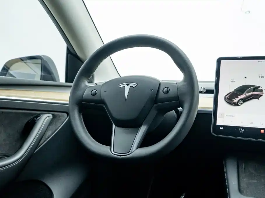 Tesla Model Y — миниатюра 22