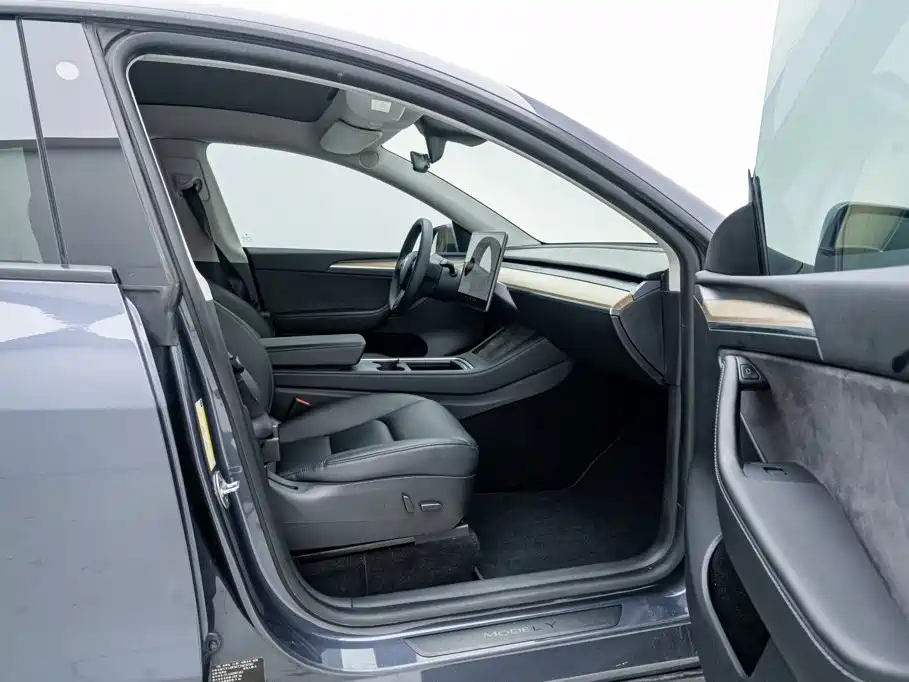 Tesla Model Y — миниатюра 18