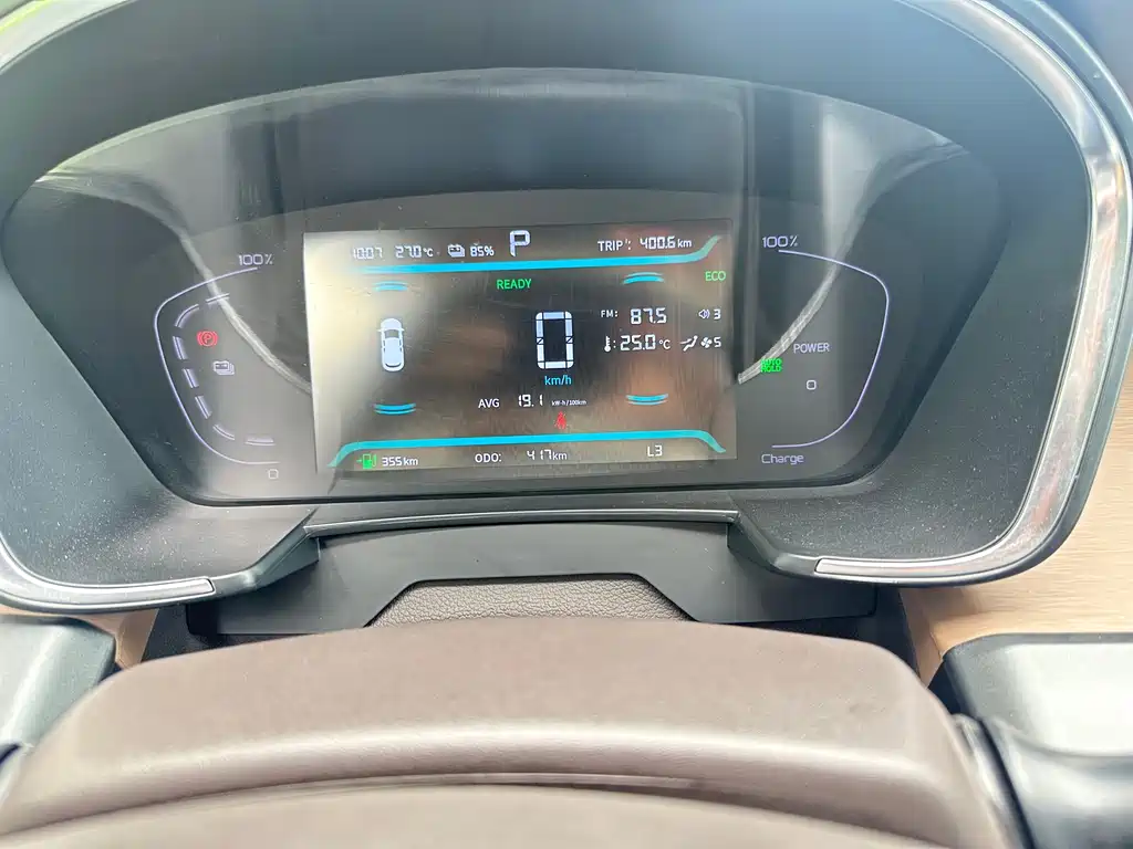 RUILAN AUTOMOBILE MAPLE LEAF 80V