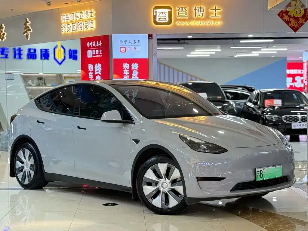 Tesla Model Y — миниатюра 4
