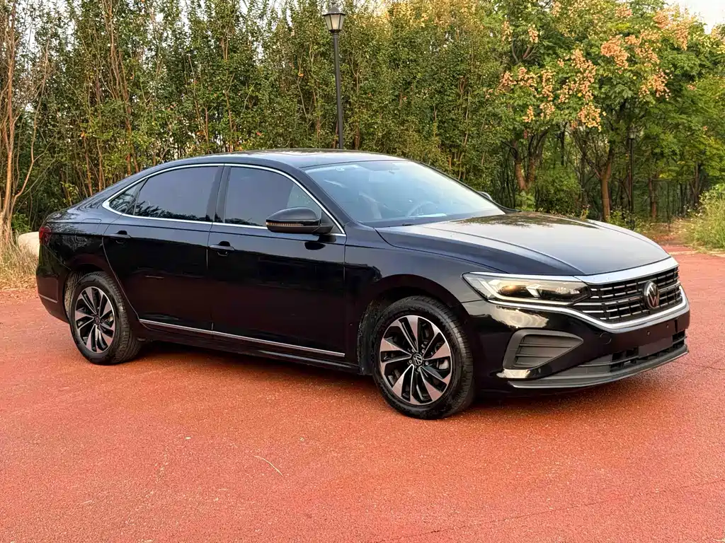 Volkswagen Passat — миниатюра 3