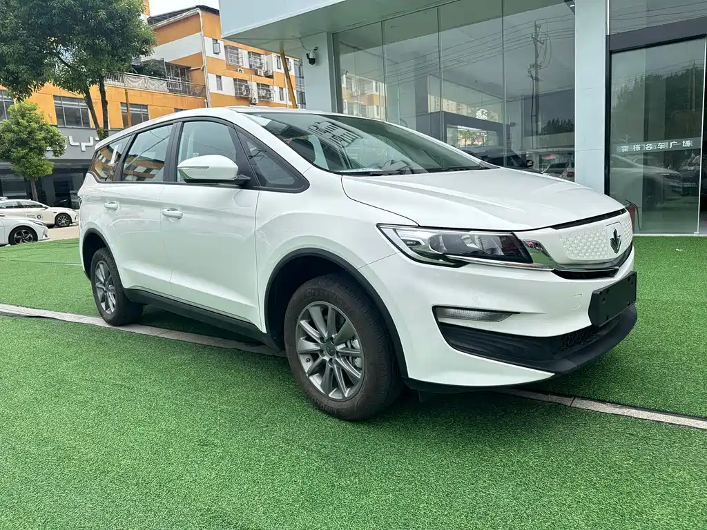 RUILAN AUTOMOBILE MAPLE LEAF 80V