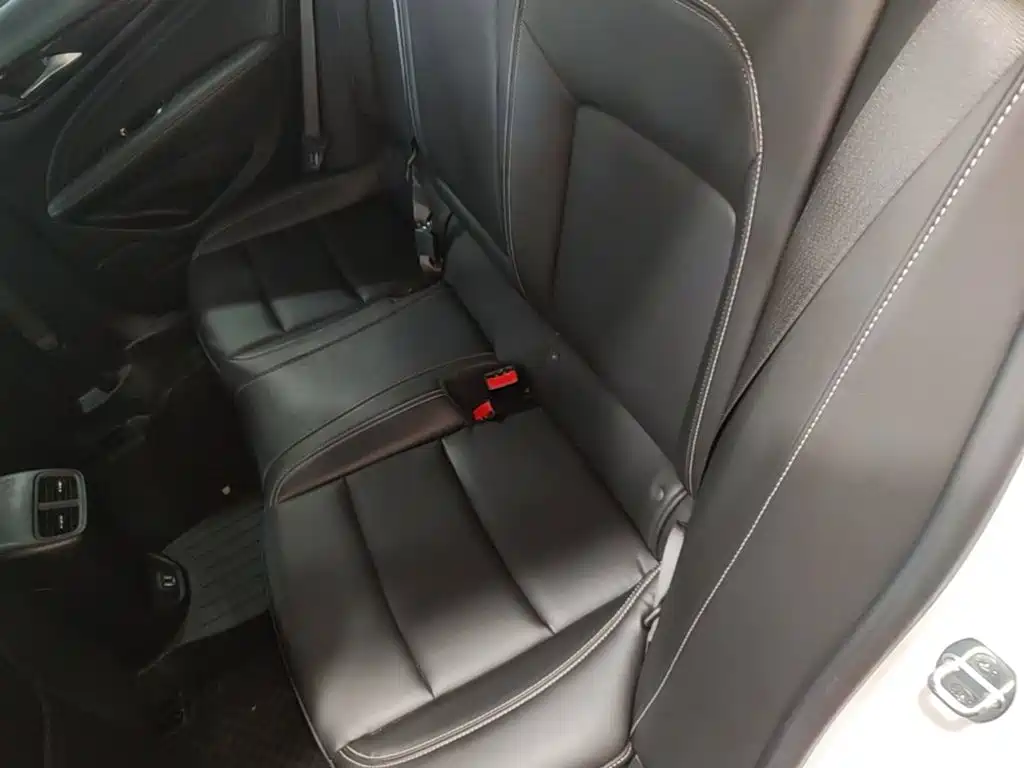 Buick Regal — миниатюра 17