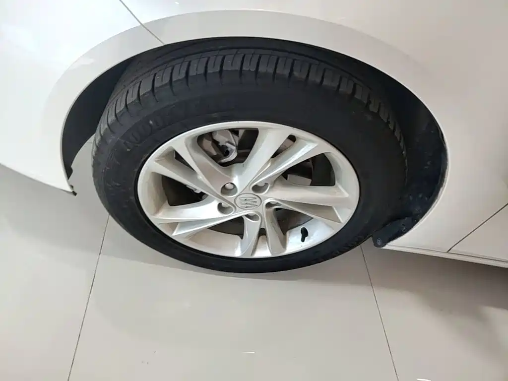 Buick Regal — миниатюра 23