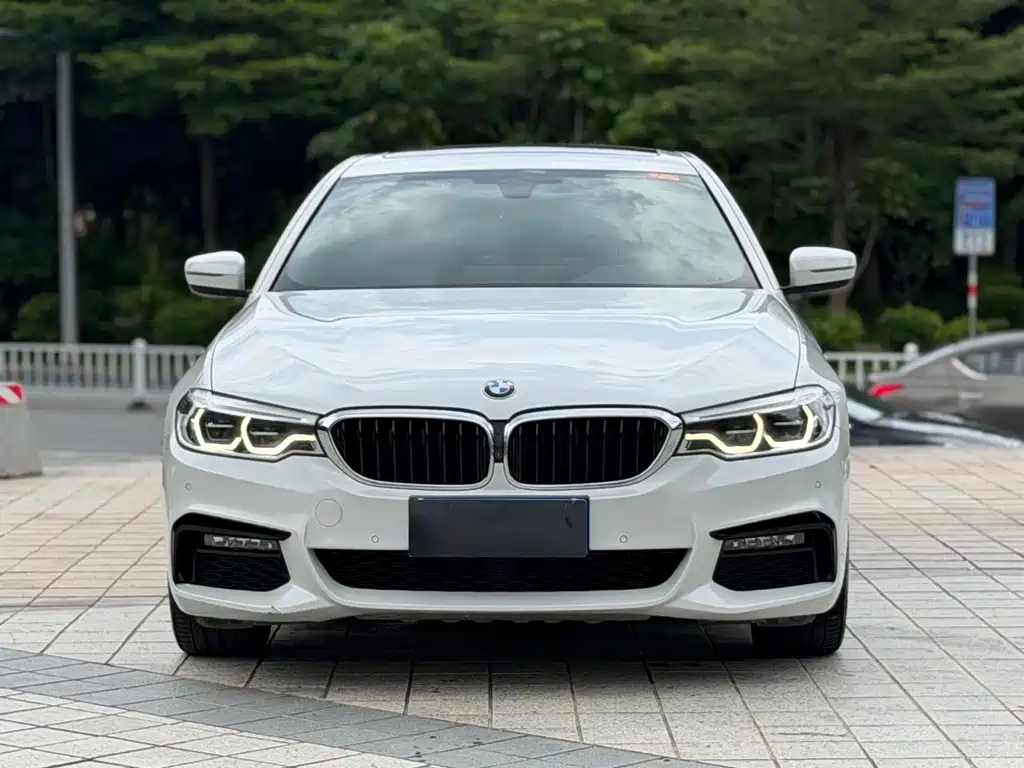 BMW 5 Series — миниатюра 2