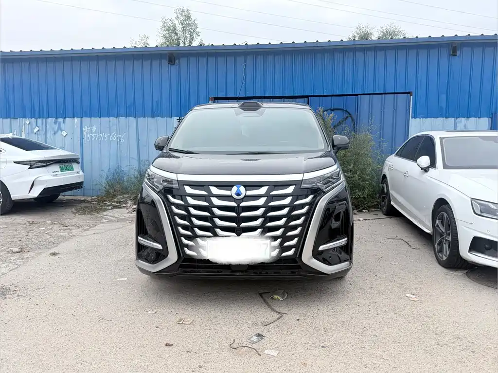 Denza Denza D9 — миниатюра 2