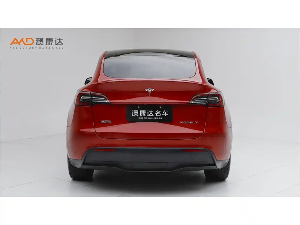 Tesla Model Y — миниатюра 4