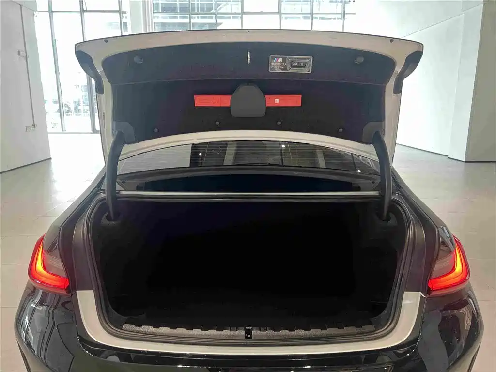 BMW 3 Series — миниатюра 19