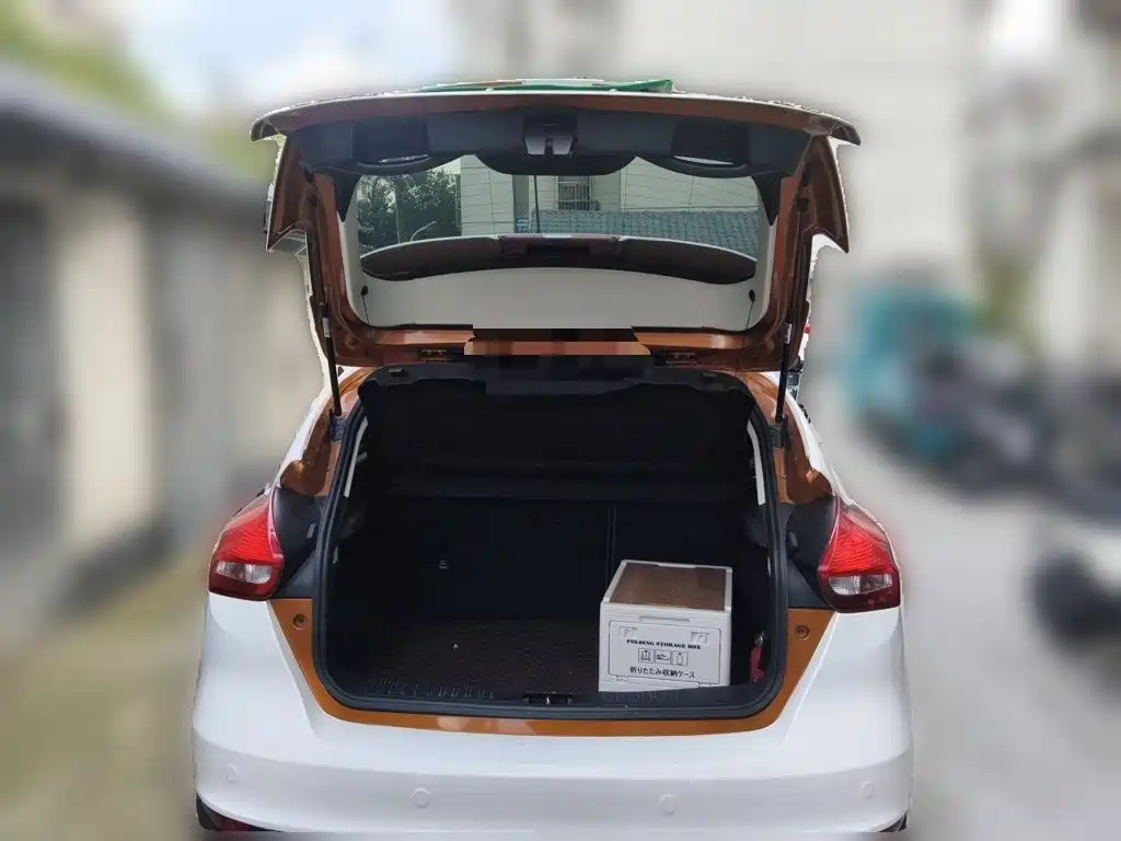 Ford Focus — миниатюра 10