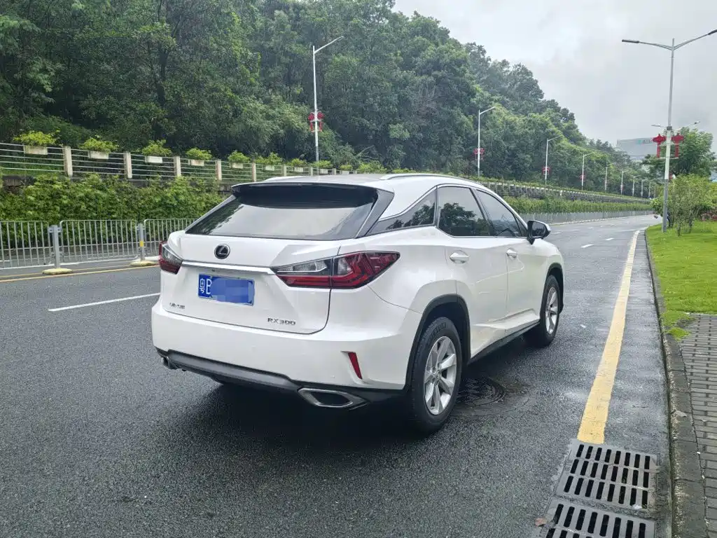 Lexus RX — миниатюра 4