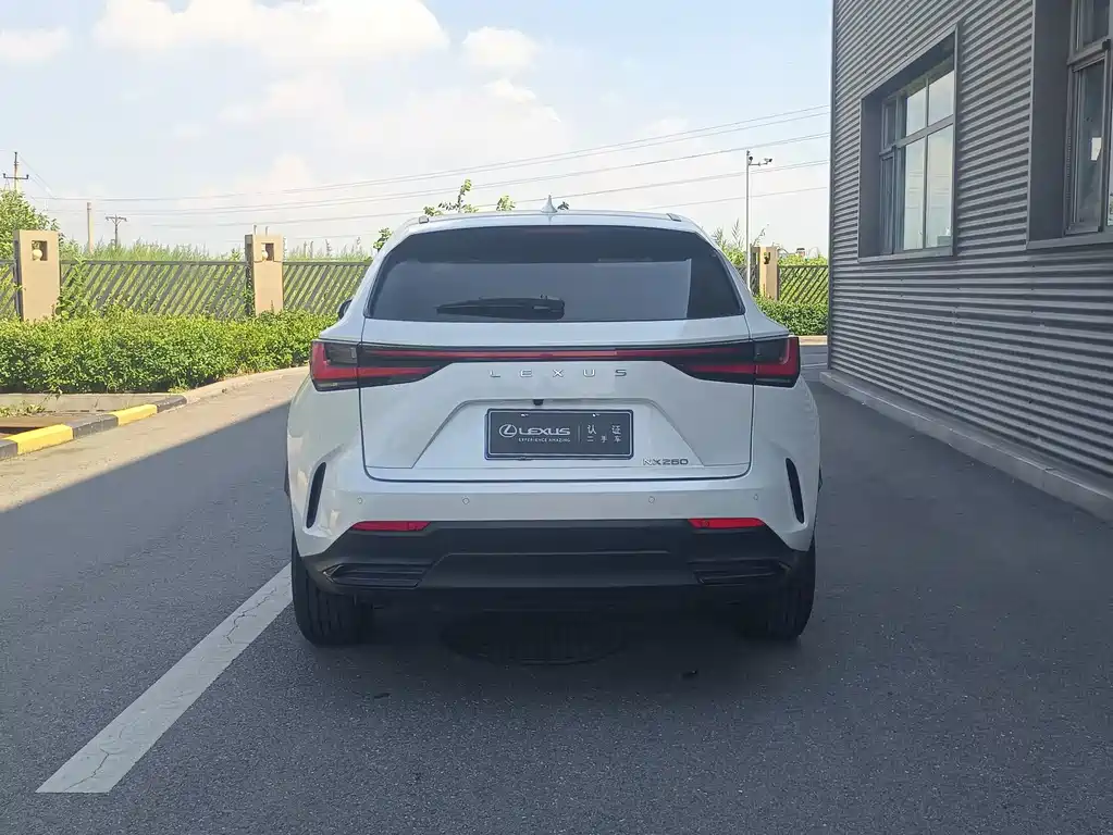 Lexus NX — миниатюра 8