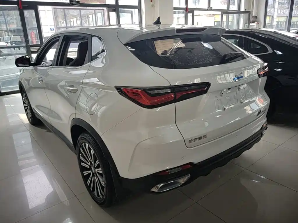 Oshan Oushang X5 — миниатюра 5
