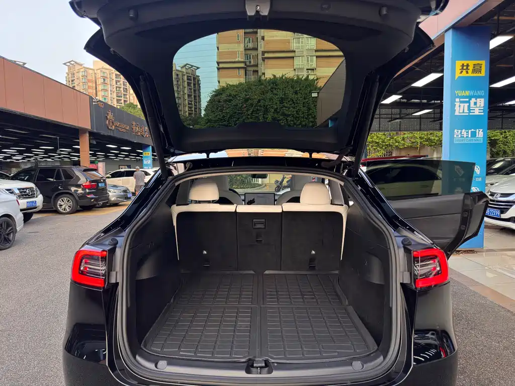 Tesla Model Y — миниатюра 20