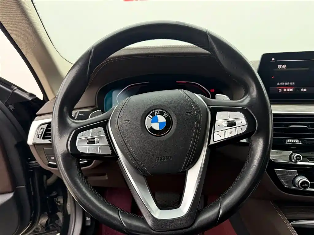 BMW 5 Series 5 2020 530Li Lead Luxury
