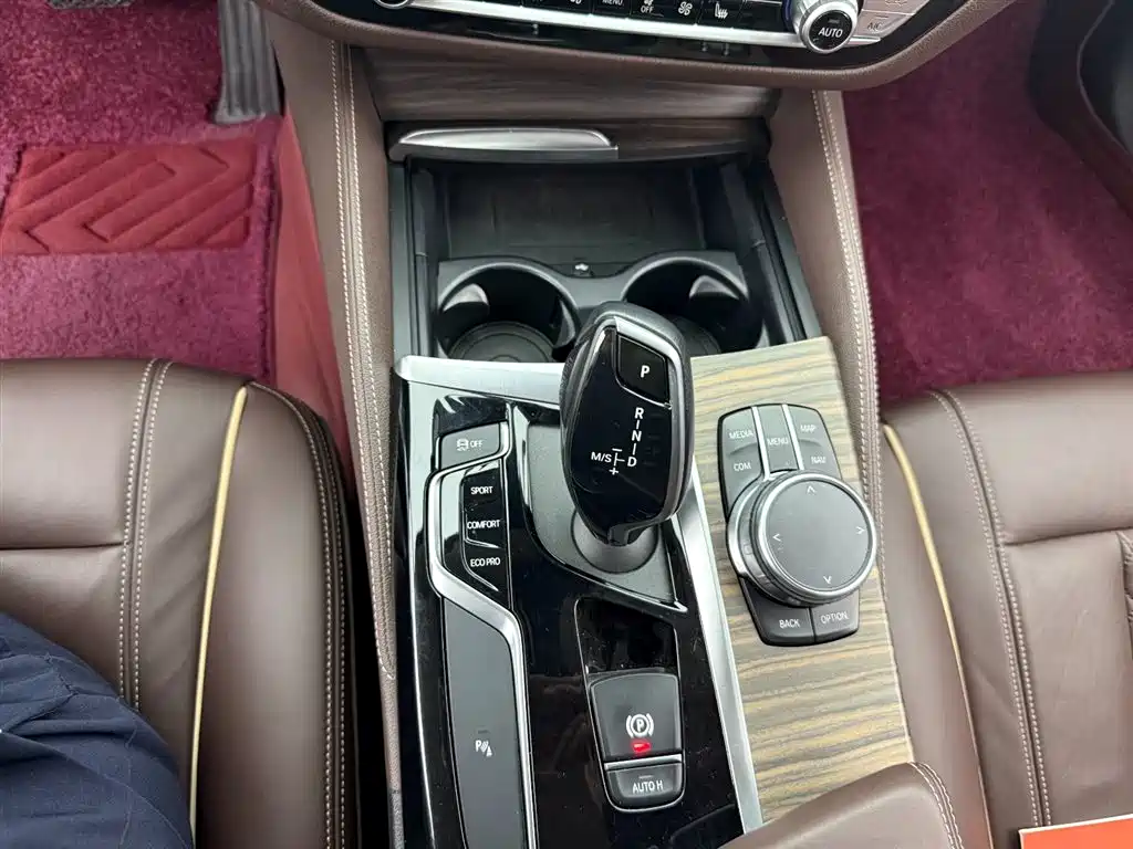 BMW 5 Series 5 2020 530Li Lead Luxury