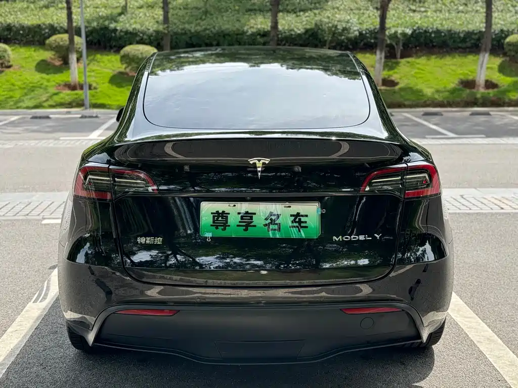Tesla Model Y — миниатюра 6