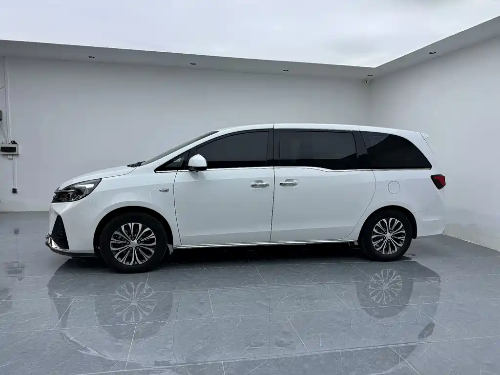 Buick GL8 — миниатюра 4