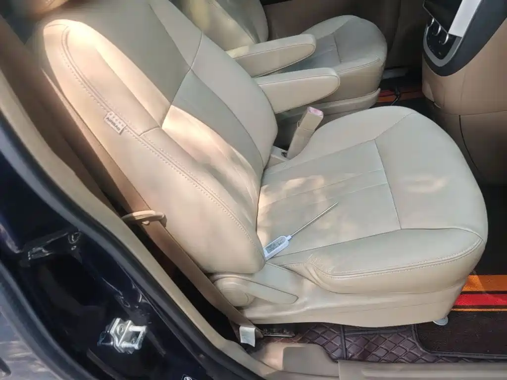Buick GL8 — миниатюра 25