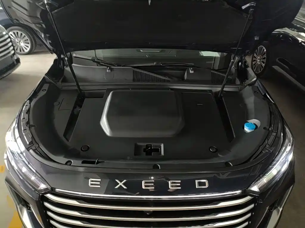 Exeed Landmark C-DM — миниатюра 20
