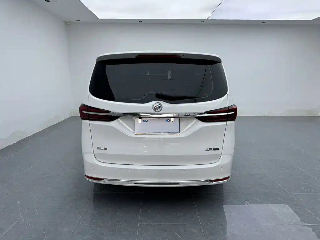 Buick GL8 — миниатюра 17