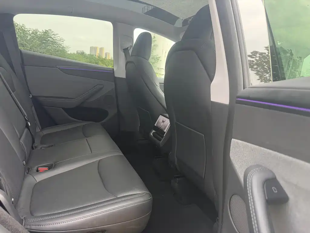 Tesla Model Y — миниатюра 28