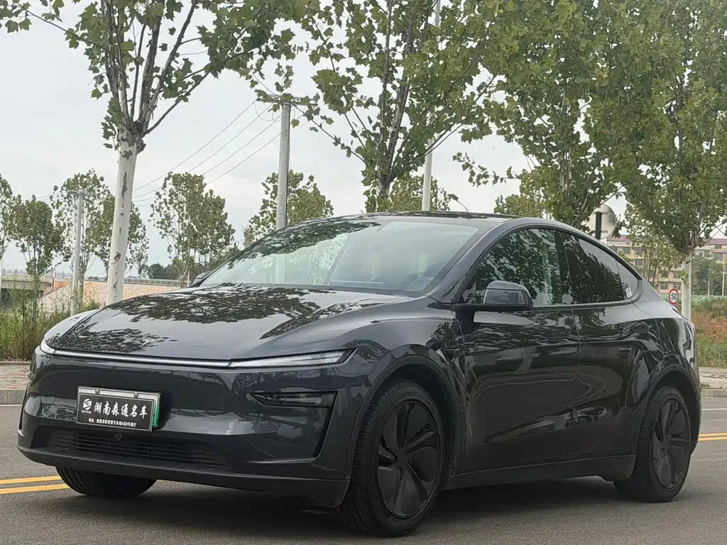 Tesla Model Y — миниатюра 17