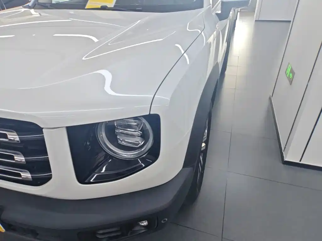 Haval Big Dog — миниатюра 24
