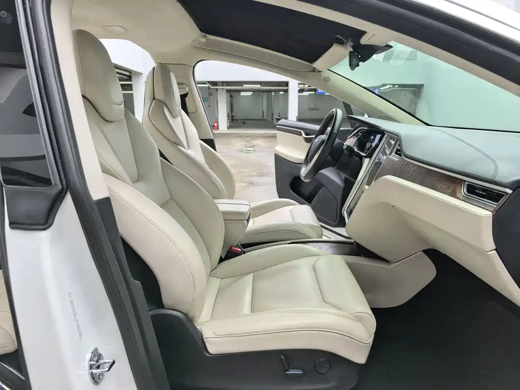Tesla Model X 2017 Model X 100D