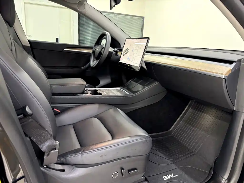 Tesla Model Y — миниатюра 11
