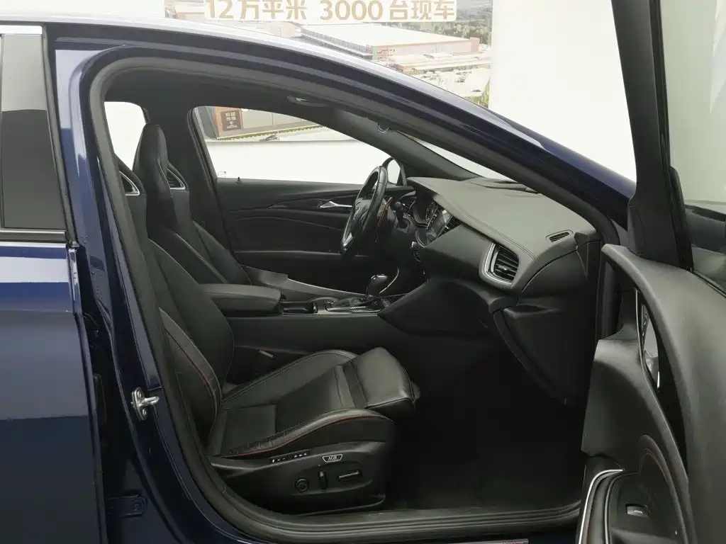 Buick Regal — миниатюра 23