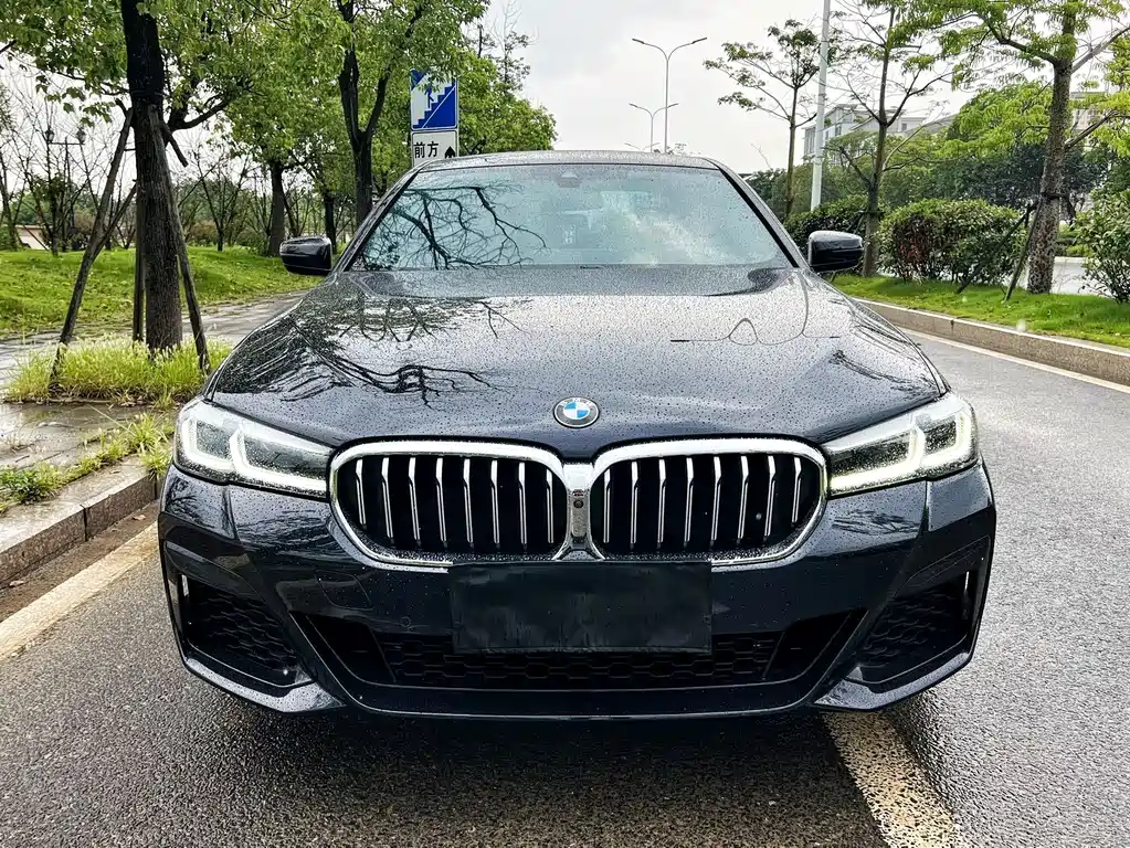 BMW 5 Series — миниатюра 2